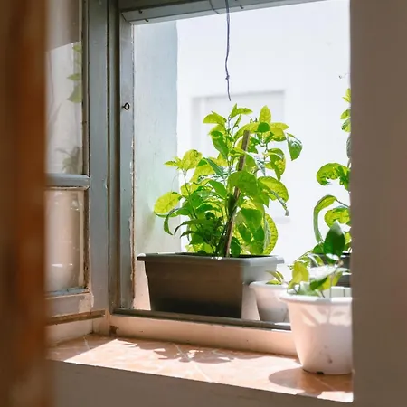 Bohemian With Internal Balcony *